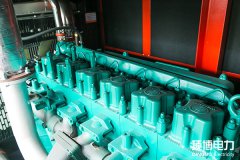 柴油發(fā)電機(jī)組傳感器的組成及主要類型