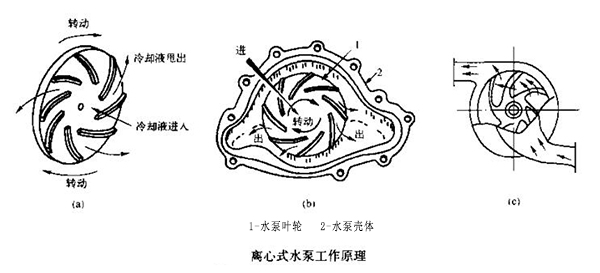 離心式水泵工作原理.jpg